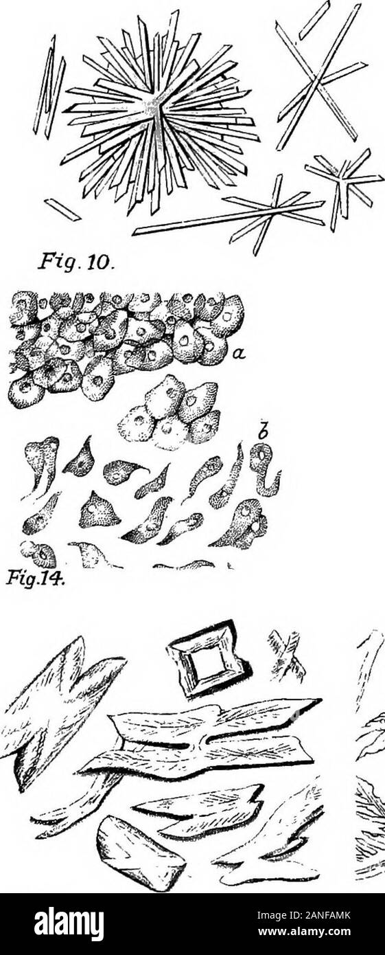 Un dictionaryBeing médical illustré ! un dictionnaire des termes techniques utilisés par les auteurs sur la médecine et les sciences de la garantie, dans le latin, anglais, français et en allemand . .^^ v- : ?..k  = yt-&gt ; j-^ ^1 ; 5 ?.•- VVr-v o *. 0 ^ -D M  =* i --^^ n ; J F / ?j&gt ;. * ,.^^ ?- ,-, -^^- jis 9 vj -A. r.^ ^^M y ; d i =i9.ii. ^ ^/, Banque D'Images