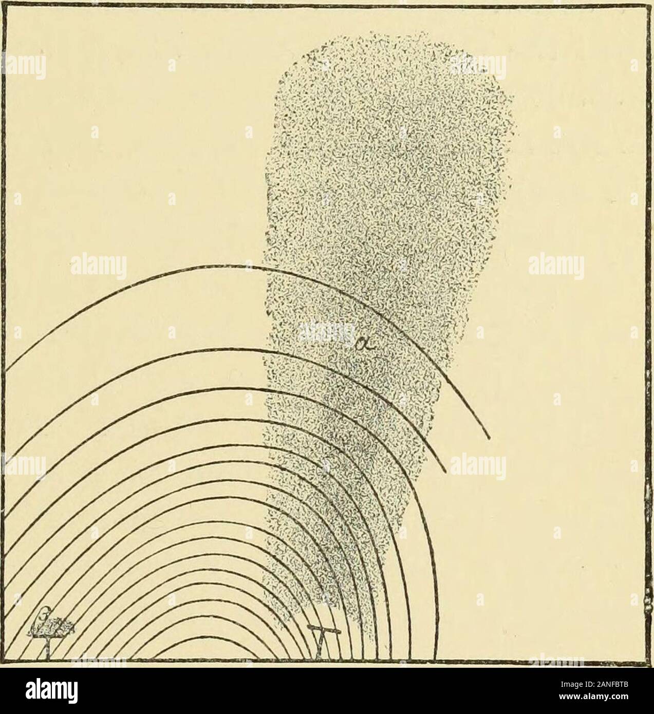 Miscellaneous Papers . amagnet thecathode depuis dévie les rayons, converselythe mustdeflect rayons cathodiques l'aimant. Nous Butwhen viennent à con-sider l'expression amagnet orthat ce dévie le rayon et com-paraison ainsi mis en place avec le détournement de fil anelastic traversés par le courant, il se peut que nous welldoubt si ces areso convenablement choisi comme atfirst vue ils apparaissent FlG- 32&gt;c (*) Taille nat- d'être. Comme un fil lorsque le courant commence à s bestraight, et ne ferait qu'être amenés sur son deflectedposition après un temps fini. Mais nous savons que cathoderays, même lorsque l'acquitte de las Banque D'Images