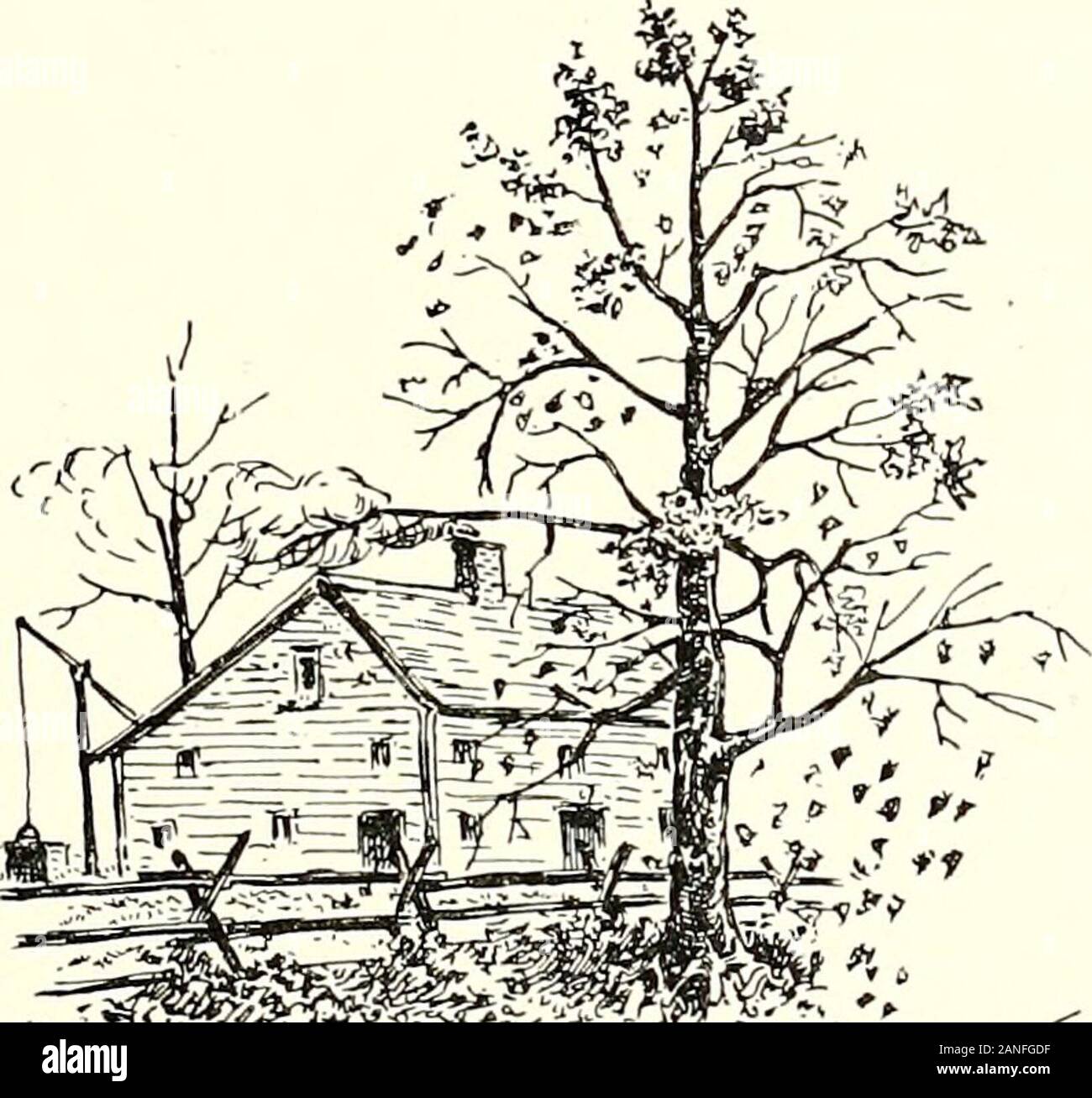 The Poetical Works of Oscar Edwin Gale . d'un nom.-Chi-cago Daily Nczvs. Dans ^ concernant ses souvenirs de début de Chicago, andVicinity Edwin O. Gale porte son reader retour à dutemps lorsqu'il y avait plus d'Indiens à Chicago que whitepeople. M. Gale accompagné ses parents à l'hopefulyoung ville le 25 mai 1835, et depuis ce jour sa lifehas ait été liée à la croissance de la grande ville, whichhe a eu le privilège d'observer.-Chicago Tribune. M. Gale, qui a marché de pair avec Chi-cagos promotion à chaque étape, se sent un frisson d'regardingevery du hameau où sa ey Banque D'Images