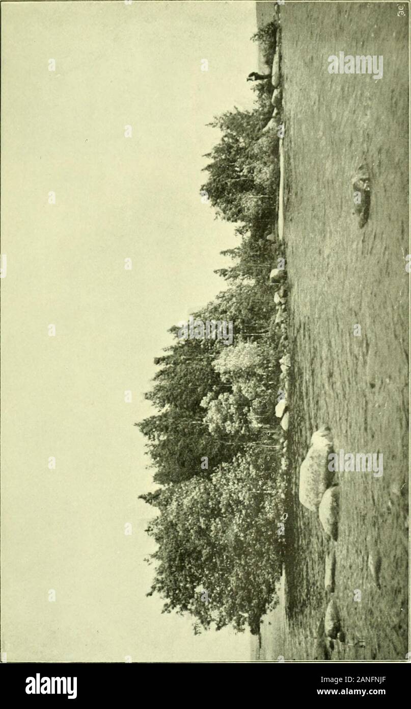 Arkiv For Botanik Skar Vid 3 Tjuran 22 Ar Gammalt Bilden Ar en Fran Punkten H Fig 4 J Bildens Encarex Vanstra Kant Synes Acuta Rugge Och En Alnus Glutinosa Motsvarar Une Fig Arkiv For Botanik Skar Vid 3 Tjuran 22 Ar Gammalt Bilden Ar en Fran Punkten H Fig 4 J Bildens Encarex Vanstra Kant Synes Acuta Rugge Och En Alnus Glutinosa Motsvarar Une Fig