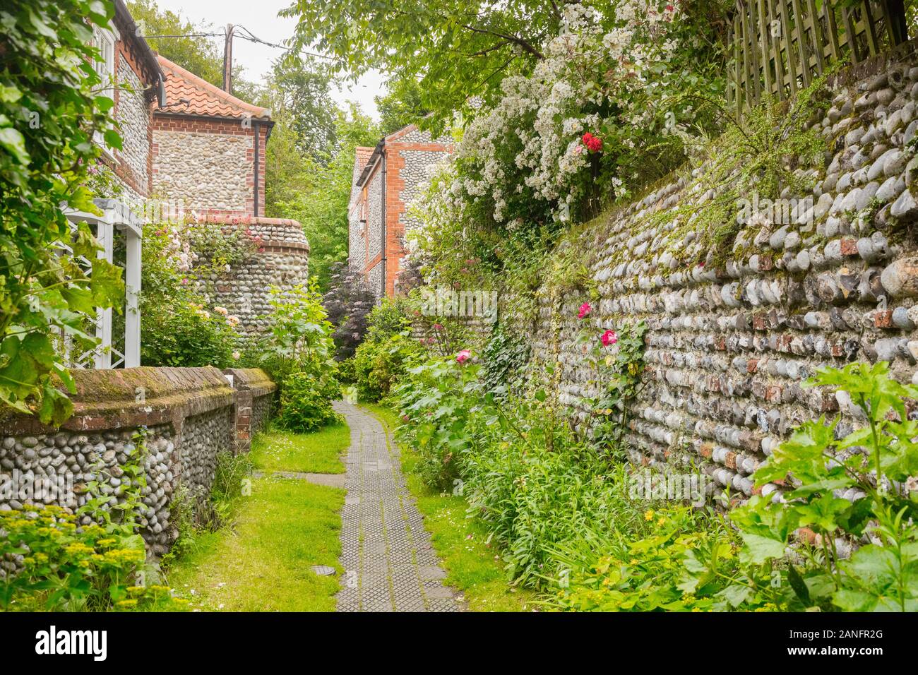 Belle ruelle verdoyante, pleine de plantes, arbres, verdure et chemin. Mur pavées est typique de la région Banque D'Images
