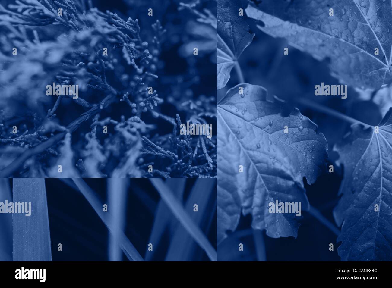 Mur de classique bleu en couleur 2020 - 19-4052. Couleur de l'année. Banque D'Images