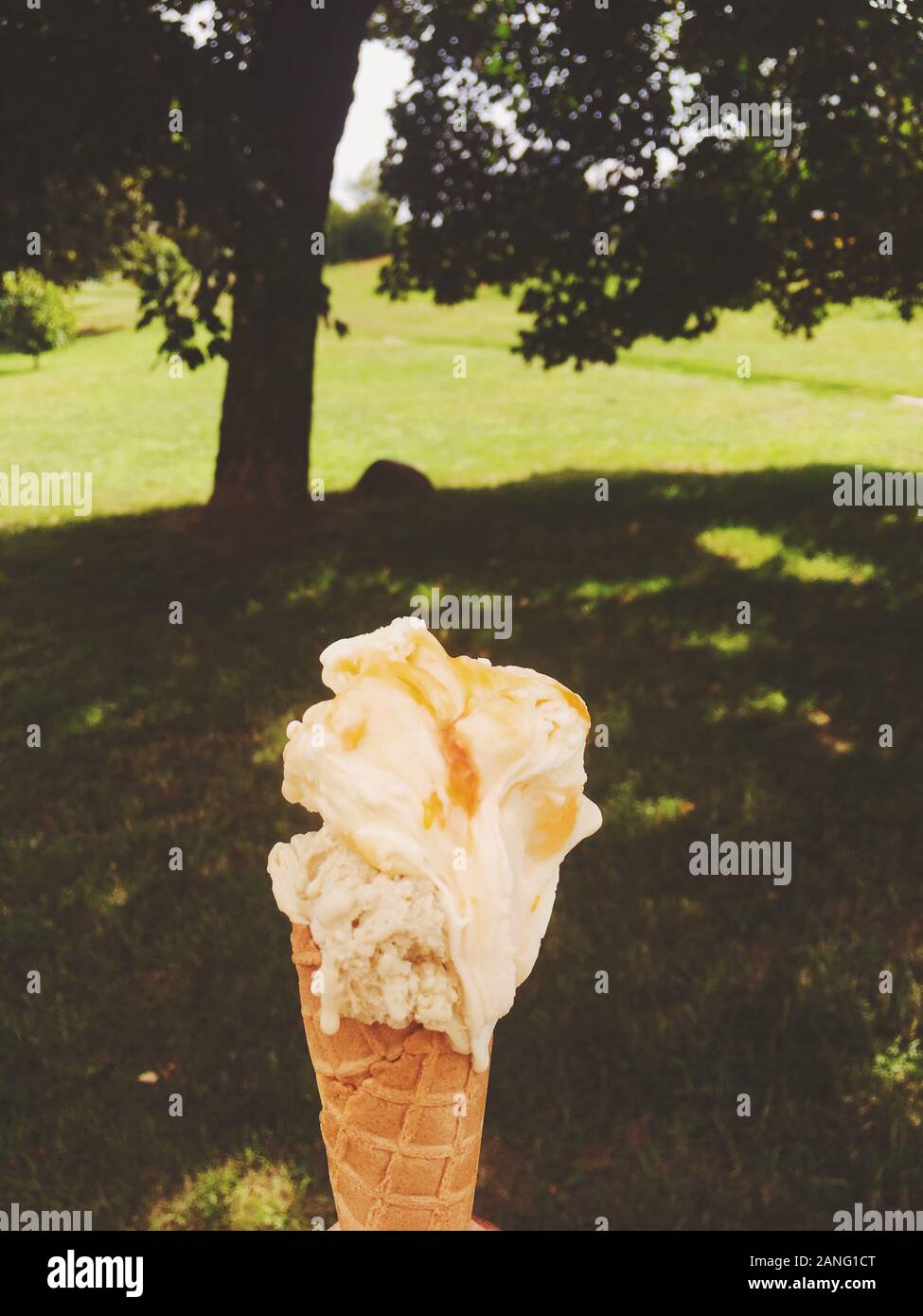 Gelato, délicieux et des produits laitiers biologiques concept - Recette de crème glacée fondre l'extérieur en été, des aliments doux de dessert en vacances Banque D'Images