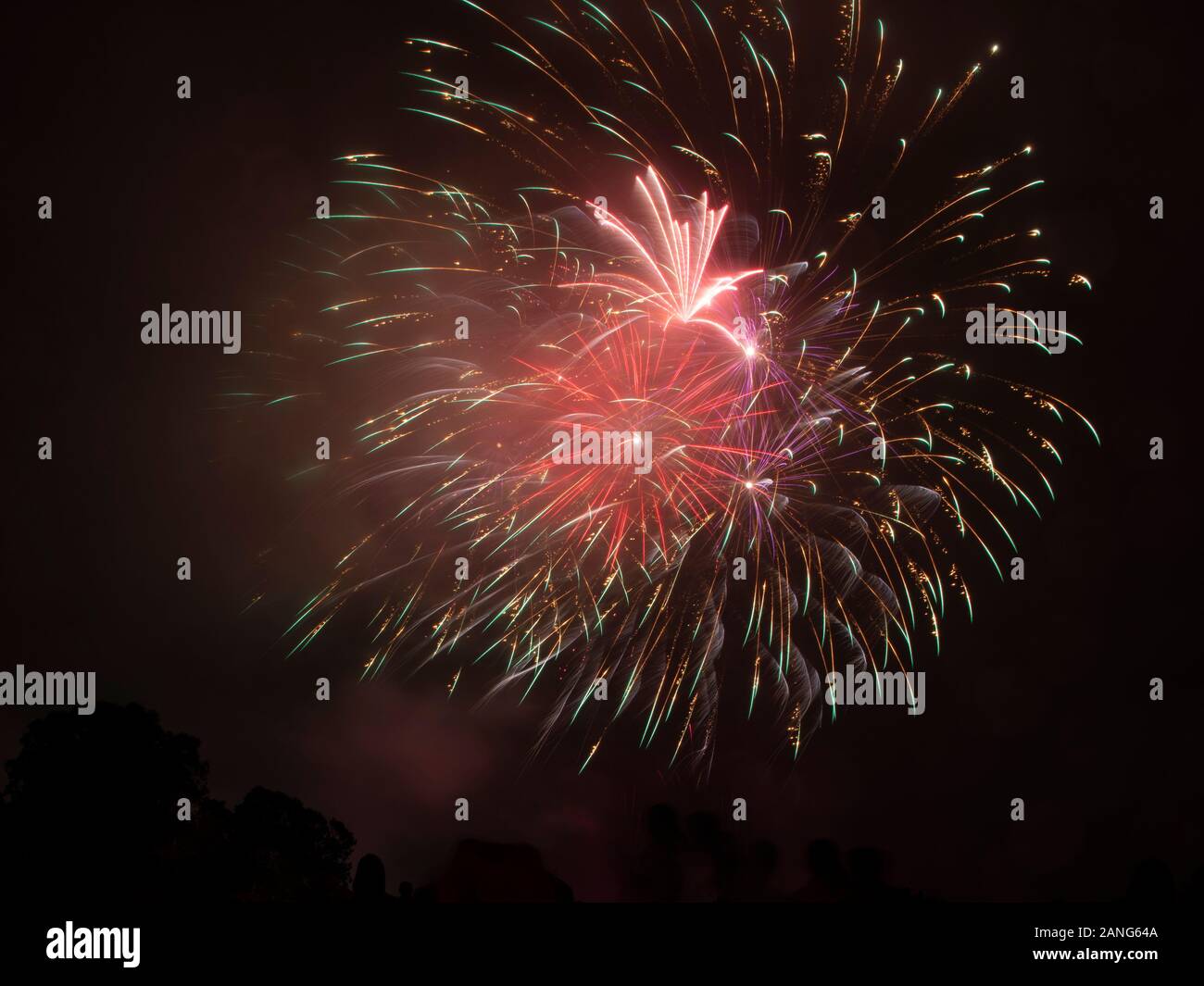 Célébration du Nouvel An à Fireworks Banque D'Images