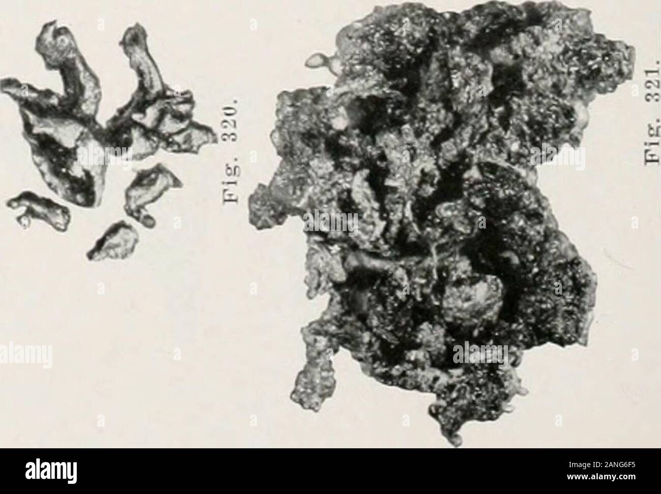 Booksubjectrespira Banque D Image Et Photos Alamy