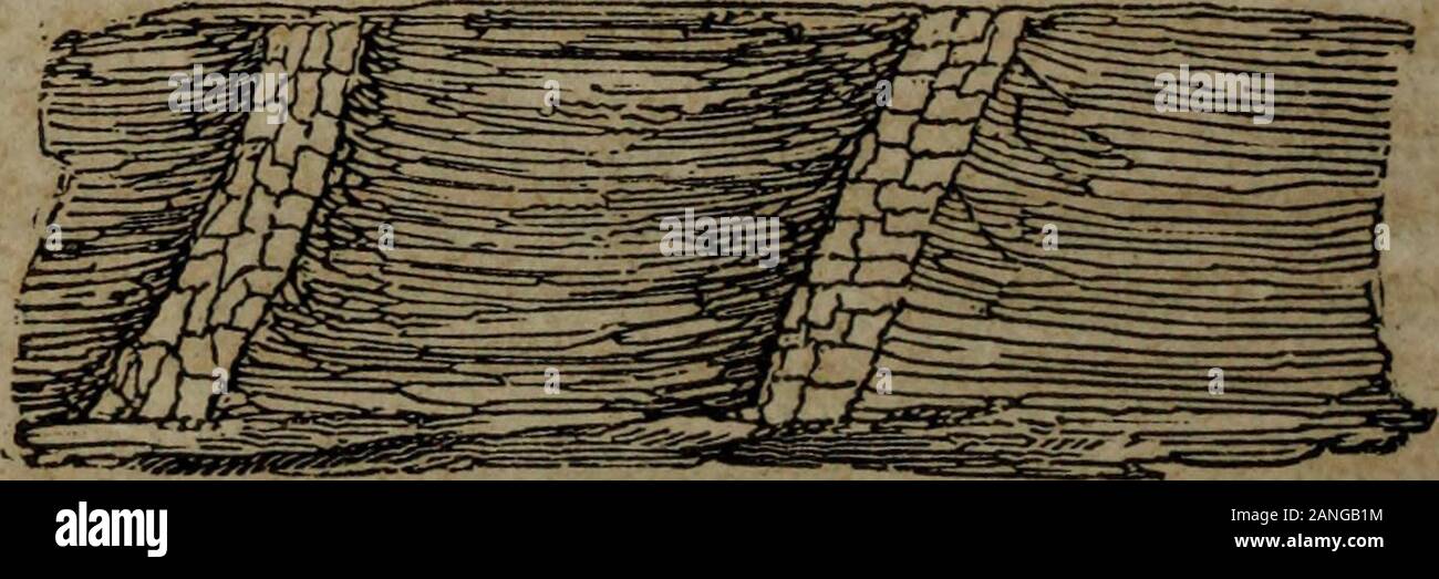 Rapport sur la géologie de l'état du Maine . Calcaire magnésienne coupé par un piège dyke, Piero&sQuarry, l'espoir. une couches de calcaires magnésiens.b digue piège.c de la Dolomite. Un autre cas dans la même gamme a été remarqué, wherethere avait deux digues, et le calcaire à chaque intersectionwas ont changé d'une manière similaire. Les diagramillustrates ce fait. a c b c a c b c a. Magnésiennes calcaire avec des digues, piège, Uuarry Afráton espoir. a a a couches de calcaire magnésienne. b b digues piège.cccc Dolomite. Ces apparitions sont très intéressants, et de montrer l'effet de l'intrusion de digues, en li Banque D'Images