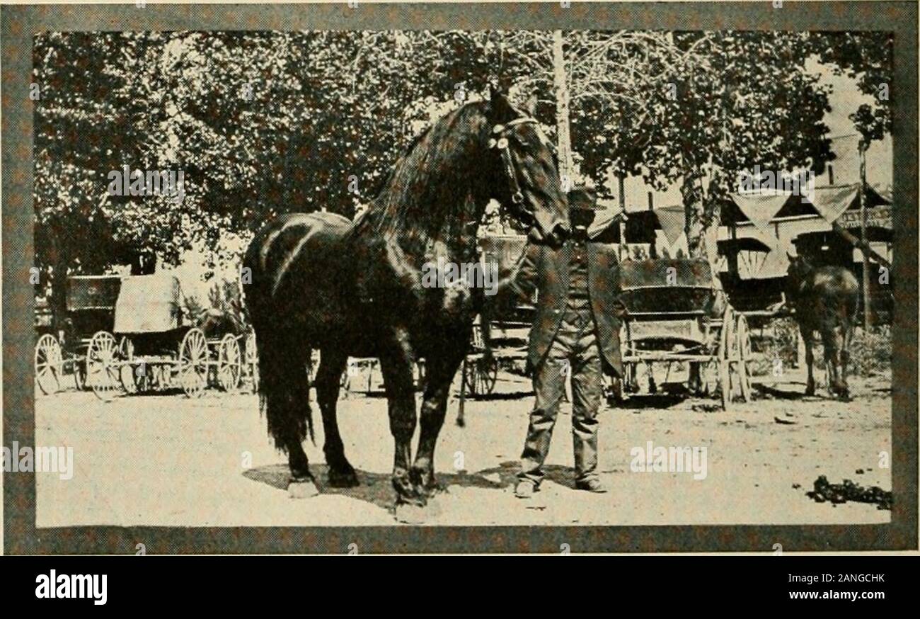 La richesse de l'Bassin Uintah, Utah, et guide de l'automobile .. . 40 000 habitants (estimation) 25 000 Nombre de personnes de square mile ? Labourable Nombre d'acres à chaque famille à l'extérieur des villes et villages 300 5 200 population scolaire Évalué Évaluation (Uintah comté) 2 500 000 $ d'évaluation évaluée (Wasatch comté) $2 850 858 5 500 pieds d'altitude moyenne, nombre moyen de jours de soleil en l'an 325, les précipitations annuelles atteignent en moyenne 15 ans, Hydro-Carbons 9 pouces d'une valeur de 7 000 000 000 200 000 Nombre de têtes de moutons de laine annuel 1 600 000 livres, clip plusieurs colonies d'abeilles du miel d'une valeur de sortie 5 000 40 000 $ 1914, N Banque D'Images