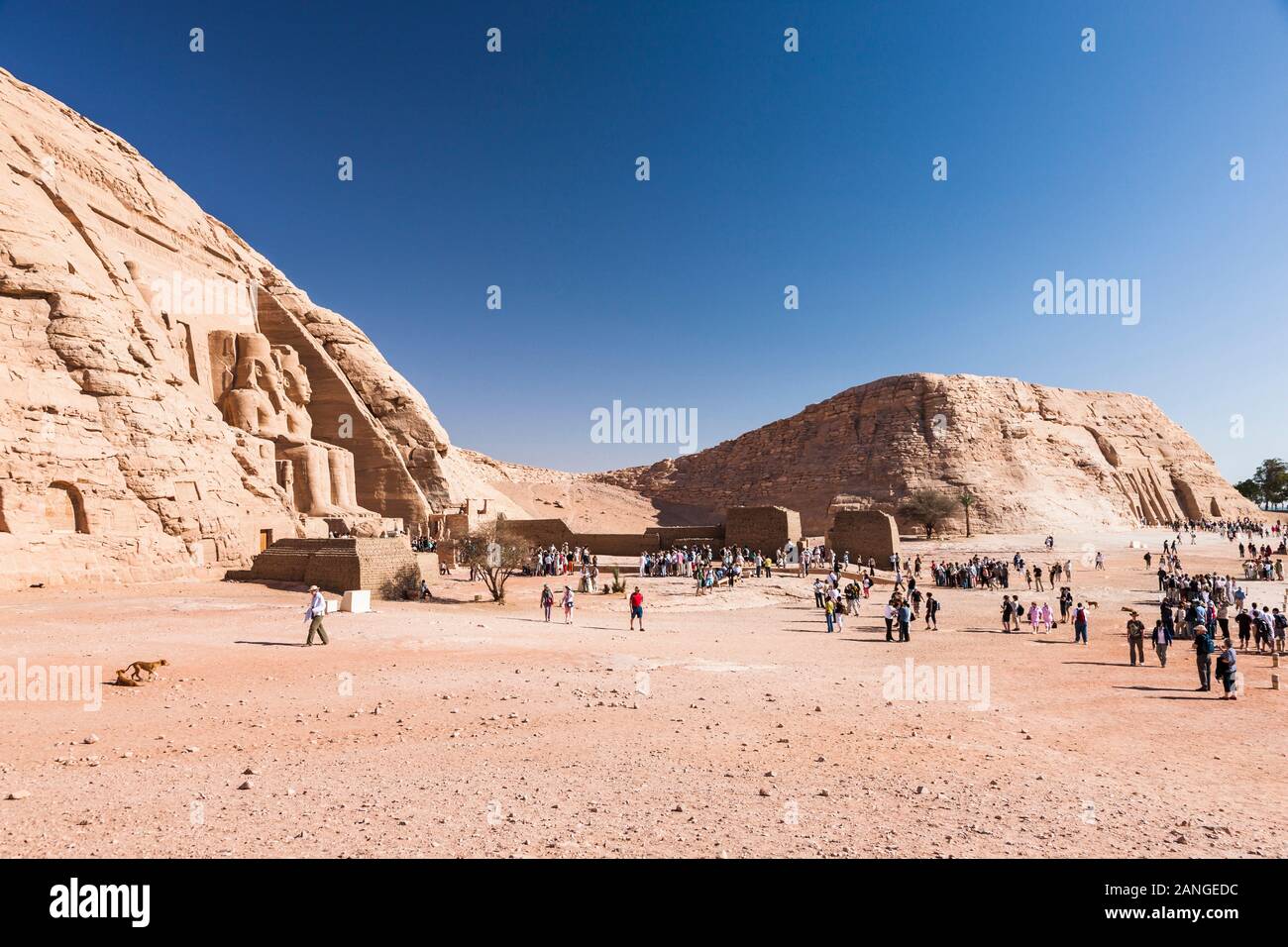 Temples D'Abu Simbel, Grand Temple, Temples De Nefertari, Monuments Nubiens, Abu Simbel, Gouvernorat D'Assouan, Egypte, Afrique Du Nord, Afrique Banque D'Images
