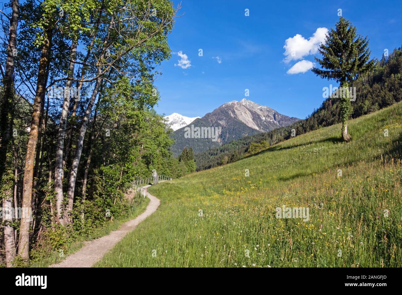 Sentier de randonnée en passant dans la vallée de l'Alto Adige, Alpes Italiennes Banque D'Images
