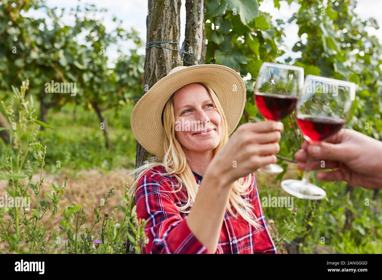 Blonde woman toasting with red wine au cours d'une dégustation de vin dans le vignoble Banque D'Images