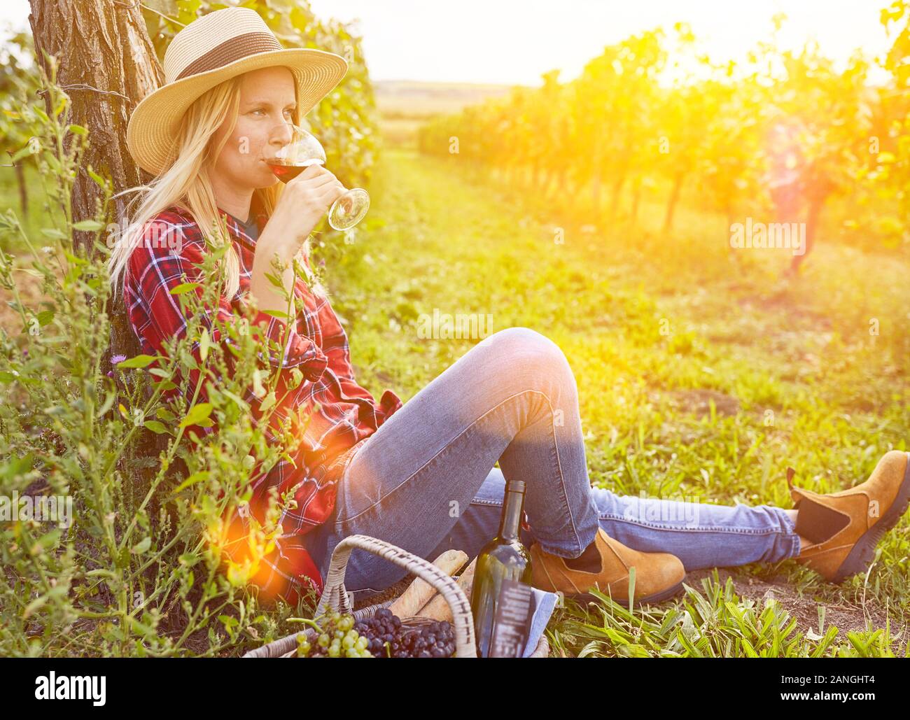 Jeune femme boit un verre de vin rouge à pique-nique dans le vignoble en automne Banque D'Images