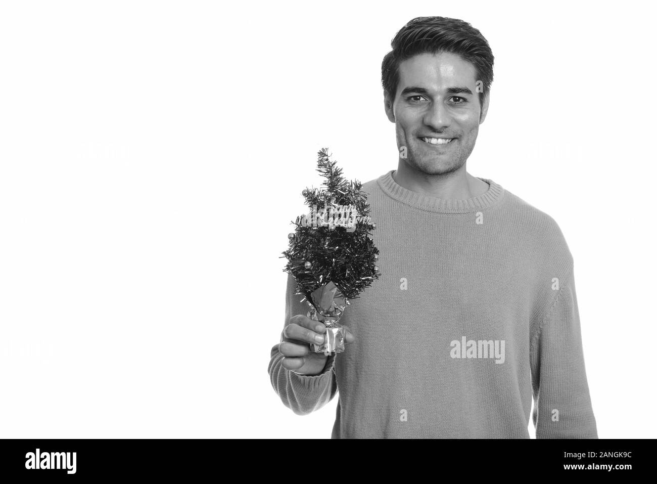 Les jeunes professionnels Persian man holding Happy New Year tree Banque D'Images