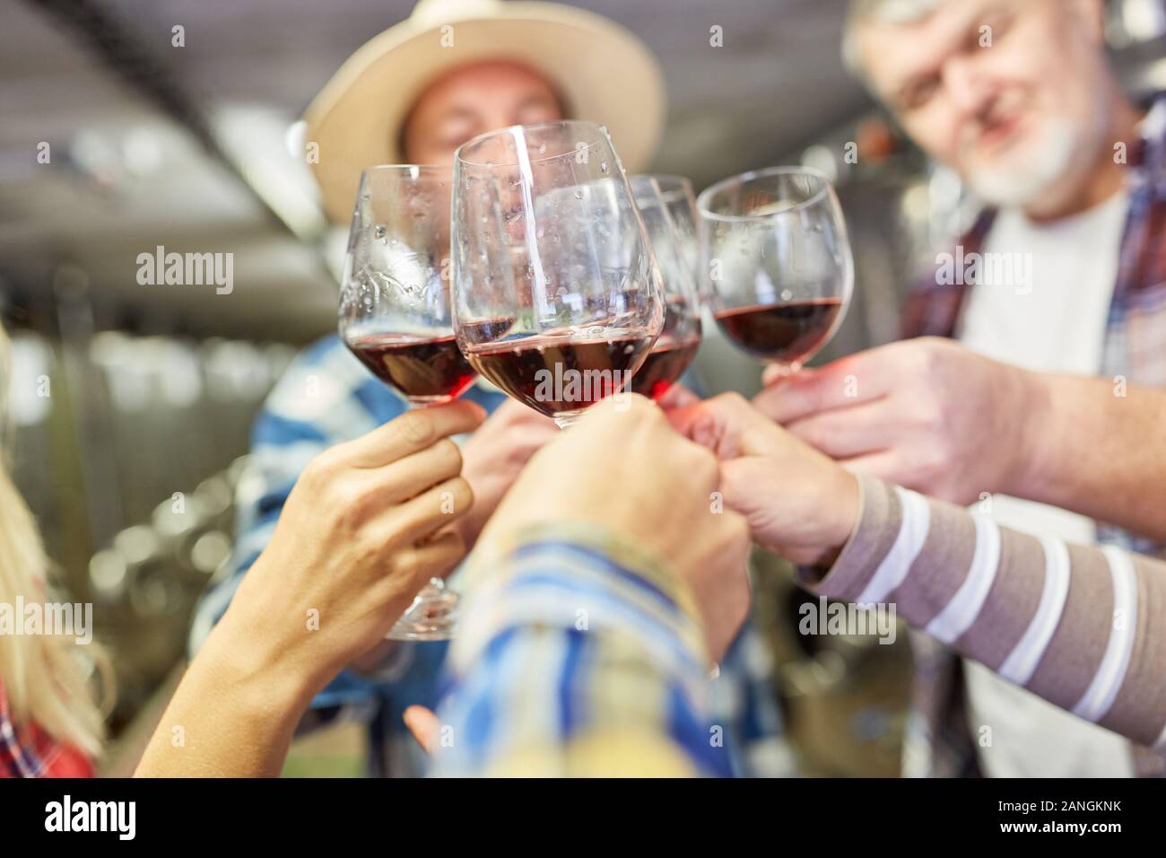 L'équipe de vignerons souligne ou fait une dégustation de vin tout en grillage avec du vin rouge Banque D'Images