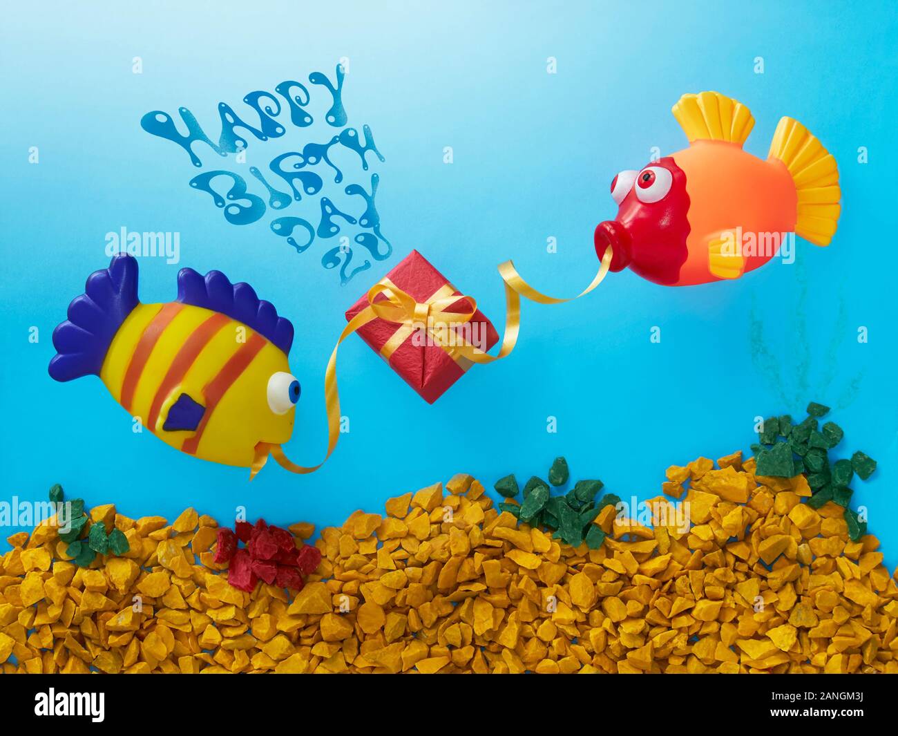 Deux jouets de poisson colorés avec un cadeau d'anniversaire et un fond  bleu Photo Stock - Alamy