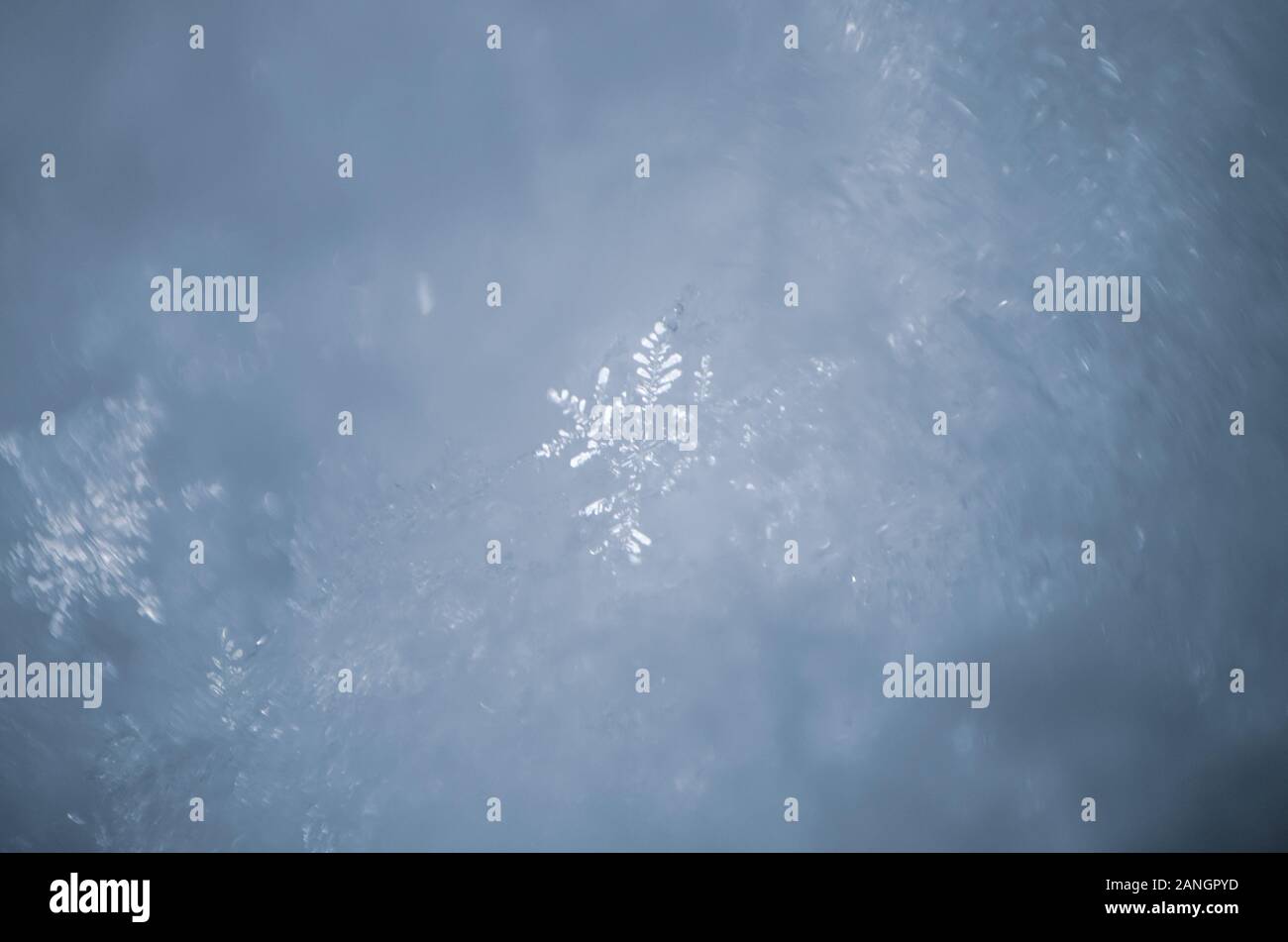 Fond bleu avec des flocons de neige. Soft Focus Banque D'Images