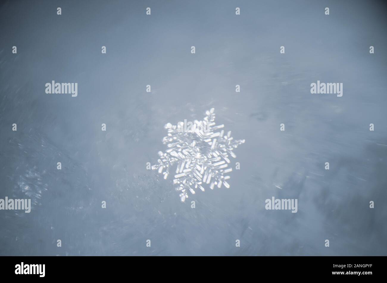 Les flocons blancs sur fond bleu. Résumé de la neige, blizzard. Des flocons de neige. Hiver Neige Banque D'Images