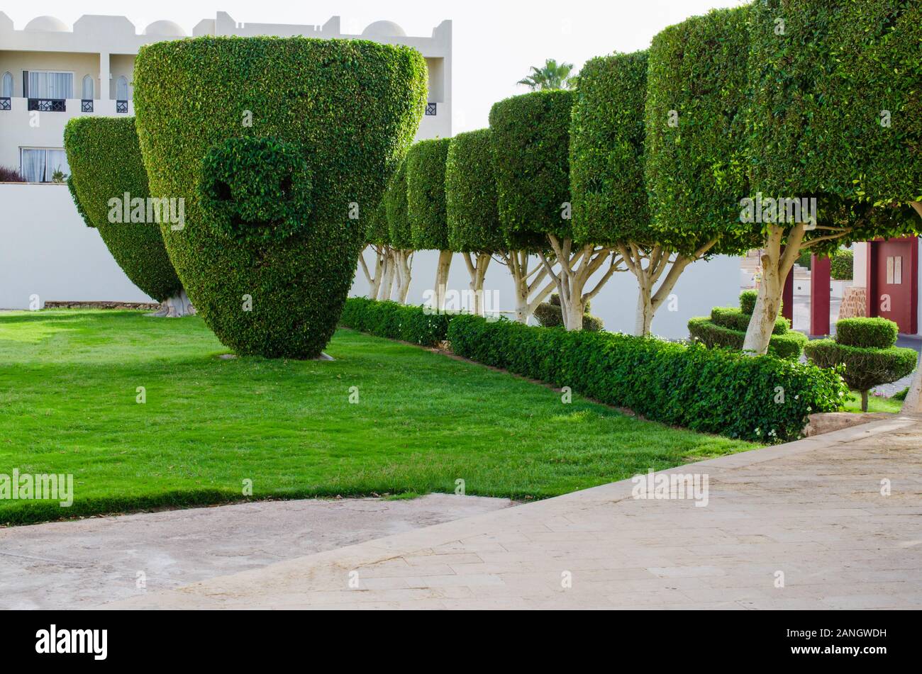 Emoji souriant. Avec un sourire sur Emoji feuilles vert arrière-plan. Les émotions positives concept Banque D'Images