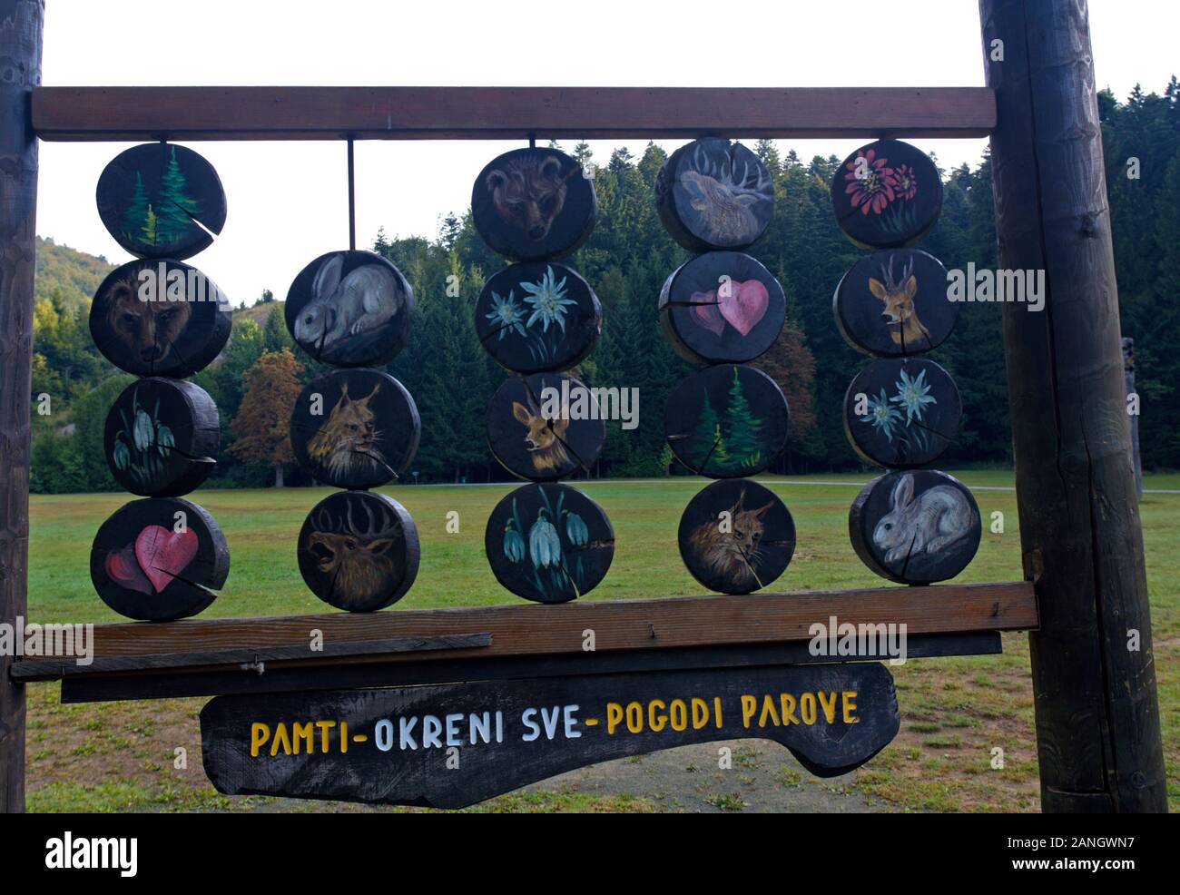 Un sapin géant dans la région de Golubinjak réserver dans Gorski kotar, Croatie Banque D'Images