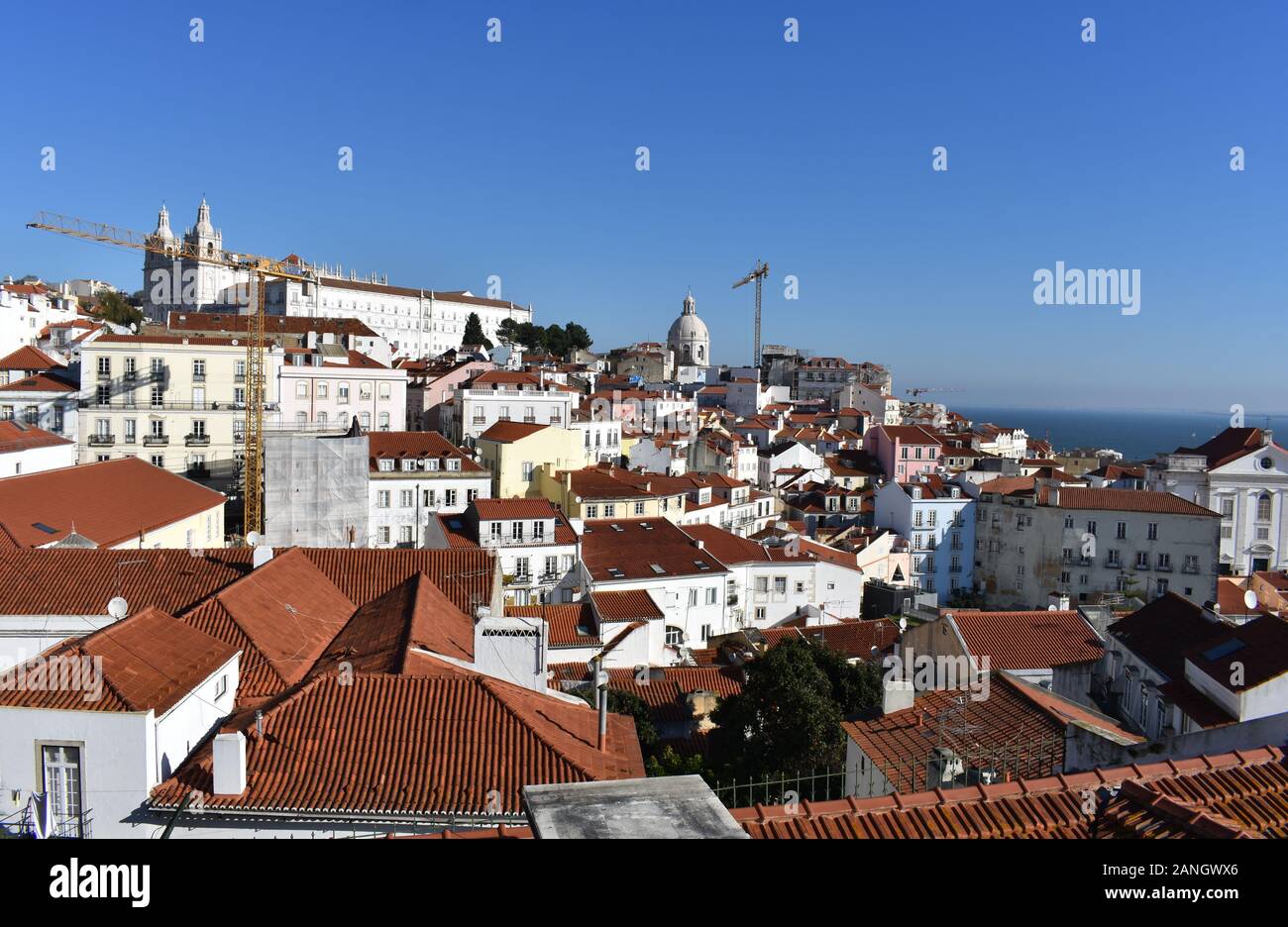 Vue sur le quartier Alfama de Lisbonne depuis le Miradouro de Santa Luzia, Alfama, Lisbonne, Portugal Banque D'Images