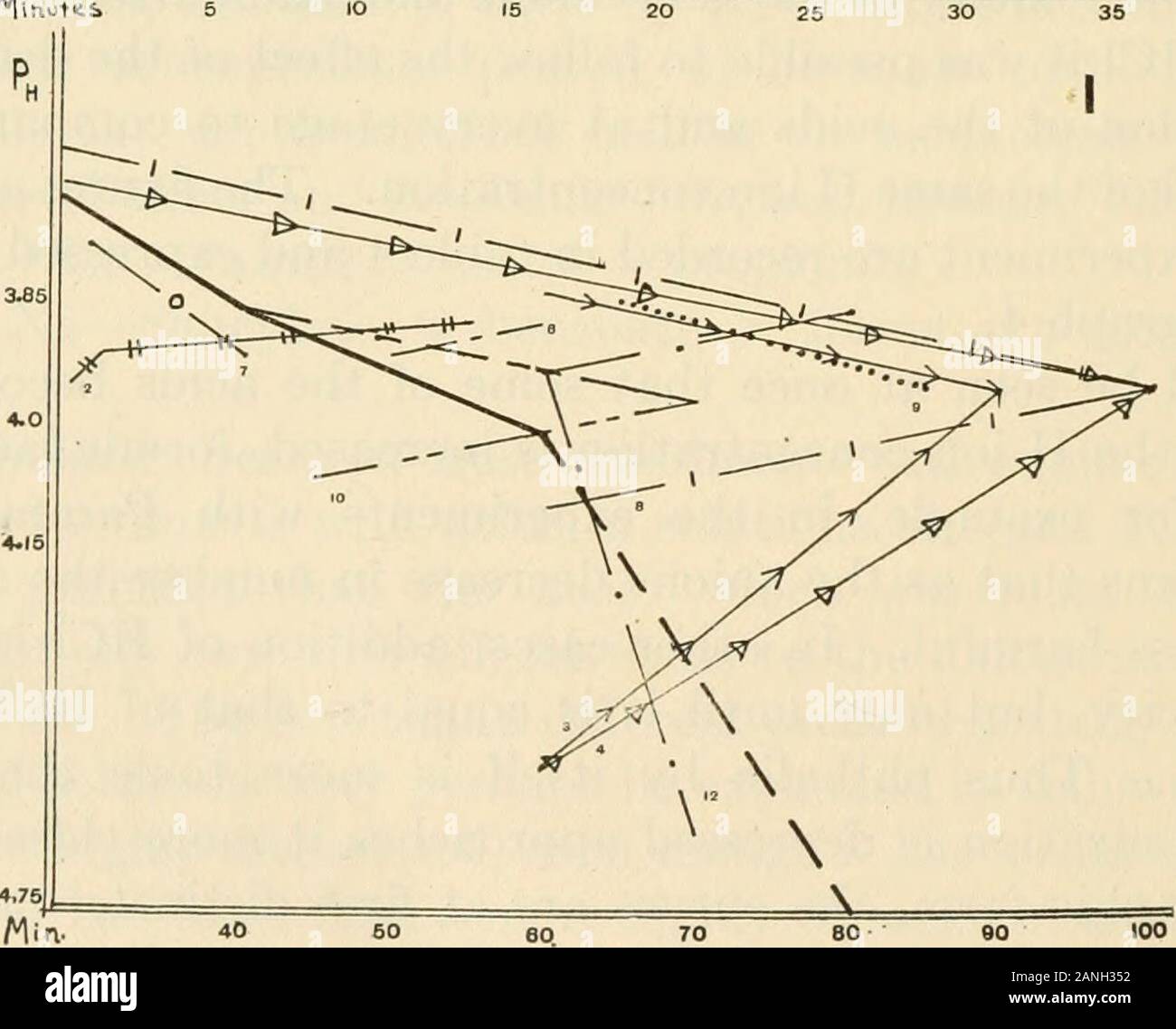 Le Journal of Experimental Zoology . ed en graphi-quement graphique 4. On voit tout de suite que certains acides de l'lesstoxic que le devenir de la concentration en ions H est augmentée, formique, lactique, andacetic par exemple, dans les expériences avec Paramoecium.Cela signifie qu'en tant que les anions diminuent en nombre l'acide atteint moins nocifs. Dans d'autres cas, l'addition de HCl increasesthe la toxicité, mais seulement jusqu'à ce qu'elle est égale à celle d'HCl de même identificateur de Ph. Ainsi par lui-même est plus phtalique toxiques que HCl,mais comme l'ionisation est appuyée l'approche plus étroitement ;, désignent toujoursla sous forme graphique, les courbes sont à la première distinction Banque D'Images