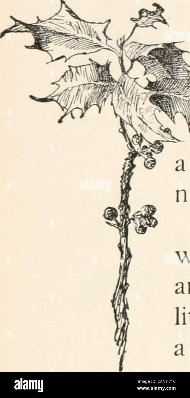 Un chant de noël . Un Cbristmas 133 Carol. Et ce que je pensais être un simple excuse moi toavoid, s'avère avoir été tout à fait vrai.Il n'était pas seulement très malade, mais mourir alors. *À qui notre dette être transférés ? Je ne sais nt. Mais avant ce moment nous ^^ est prêt avec l'argent ; et même ^rl si on n'était pas le cas, ce serait une mauvaise chose^^^^ f Xi fait fortune de trouver si mercilessa créancier dans son successeur. Nous pouvons dormir cette nuit avec des coeurs, Caroline ! Oui. L'adoucir comme ils le feraient, leur heartswere plus léger. Les visages des enfants, silence,et regroupés autour d'entendre ce qu'ils solittle compris, wer Banque D'Images