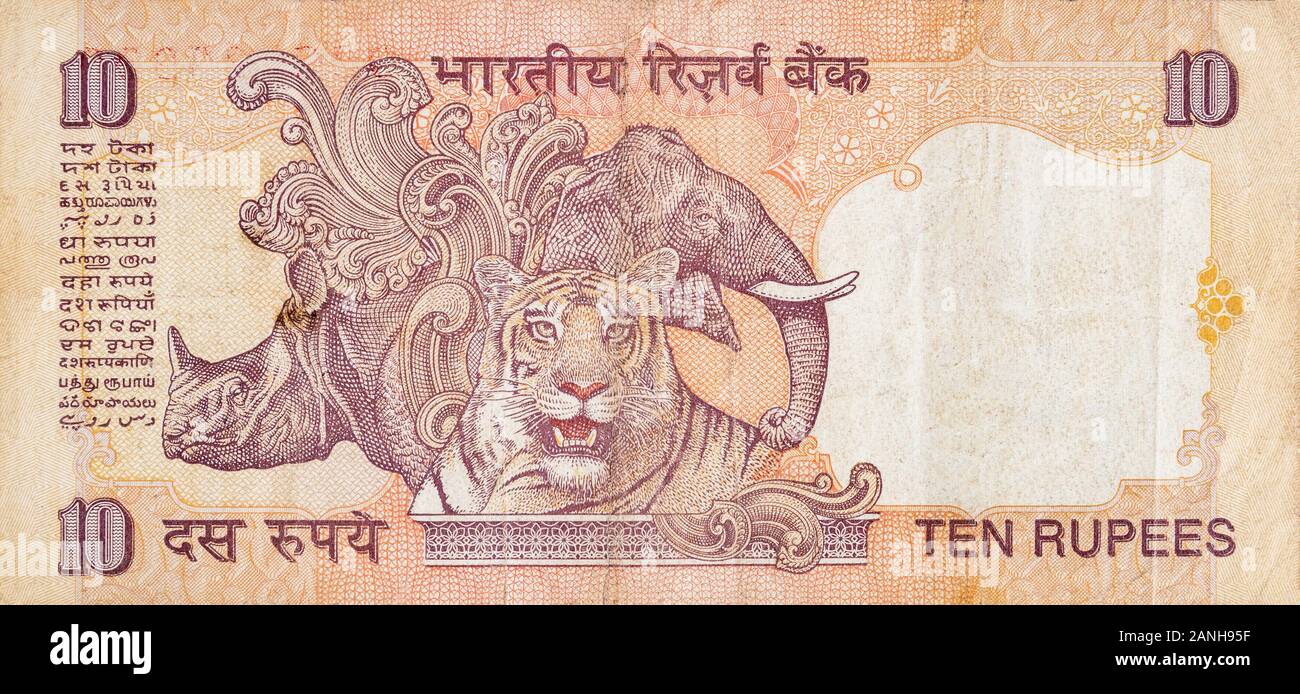 Le rhinocéros et l'éléphant tiger représentées sur les billets de banque Indiens dix roupies. Roupie 10 monnaie nationale de l'Inde INR. Orange money bill close up Banque D'Images