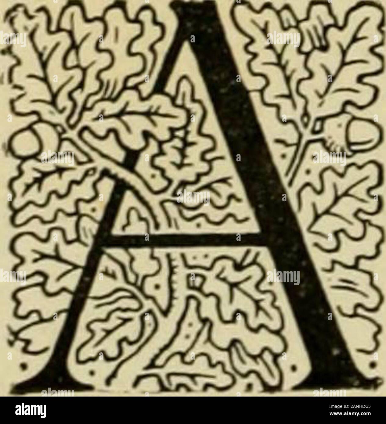 Les fables d'Ésope, sélectionné, dit à nouveau et leur histoire remonte . L'HOMME ET LE BOIS. Un homme entra dans un bois daywith une hache dans sa main andbegged, tous les arbres de lui donner une petite branche qui il voulait fora but particulier. Les arbres étaient bon enfant et lui a donné l'une de leurs branches.Qu'a fait l'homme mais ne le fixer dans l'axe-tête, et bientôt mis au travail réduire les fables 69 € Arbre PON Banque D'Images