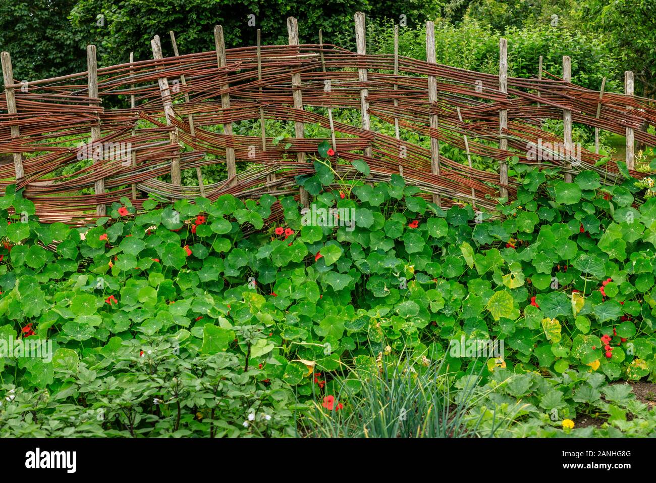 France, Loiret, Orleans, Orléans-la-source, le parc floral de la source, de barrière dans la cuisine jardin // France, Loiret (45), Orléans, Orléans- Banque D'Images
