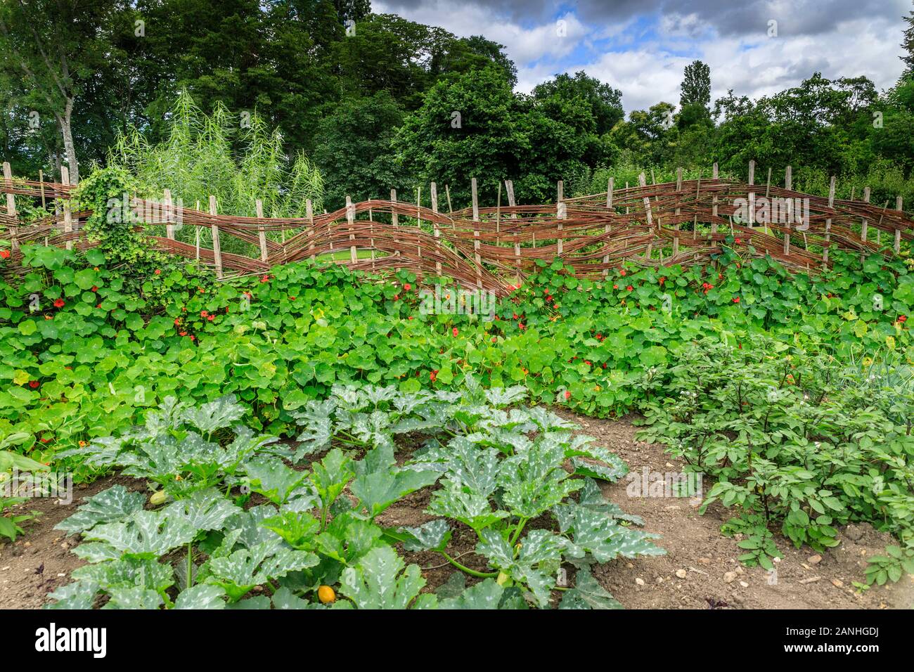 France, Loiret, Orleans, Orléans-la-source, le parc floral de la source, de barrière dans la cuisine jardin // France, Loiret (45), Orléans, Orléans- Banque D'Images