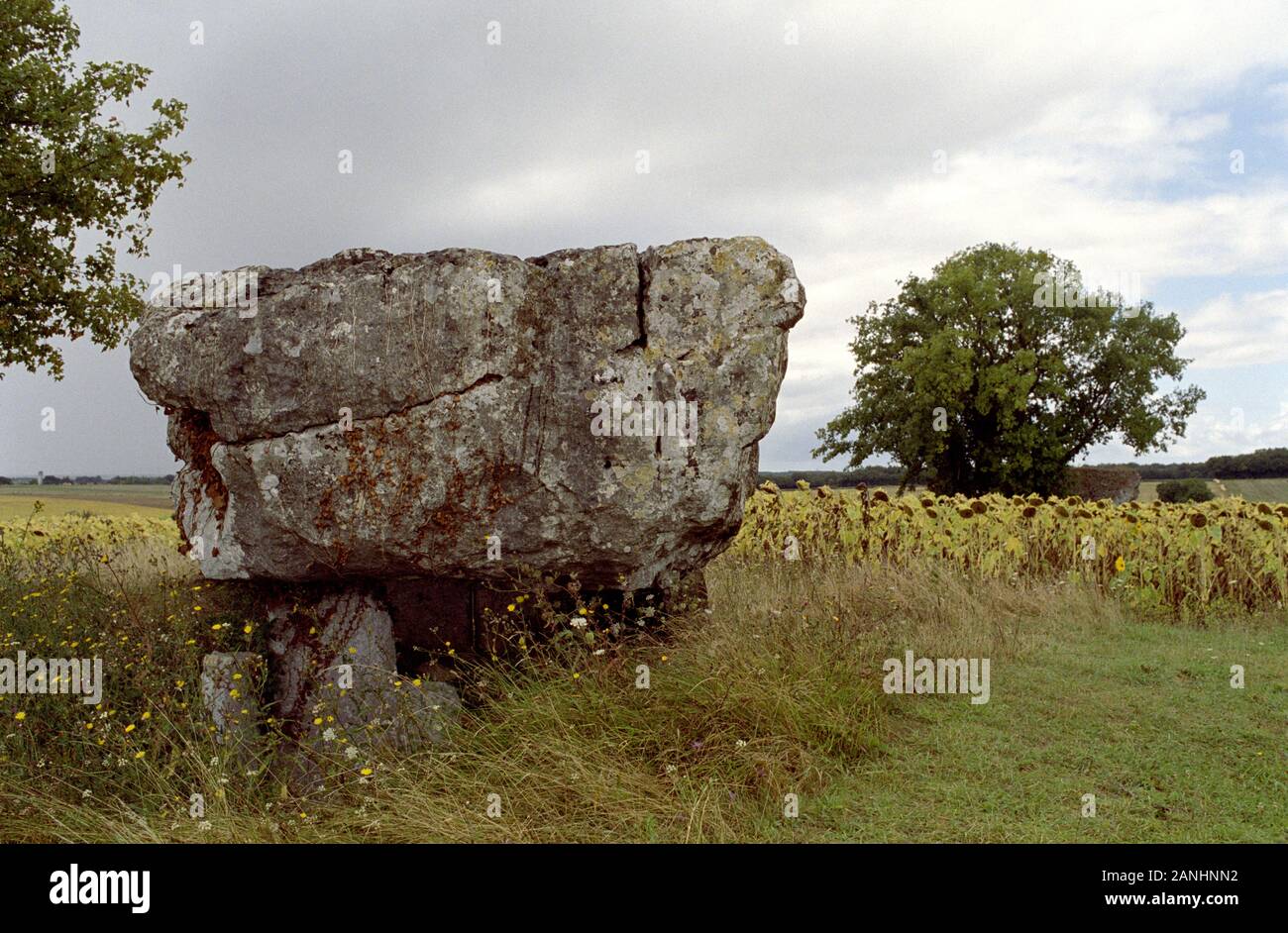 MENHIR EN CHARENTE CÔTÉ CAMPAGNE FRANÇAISE - ARCHÉOLOGIE - HISTOIRE FRANÇAISE - ARGENT IMAGE © FRÉDÉRIC BEAUMONT Banque D'Images