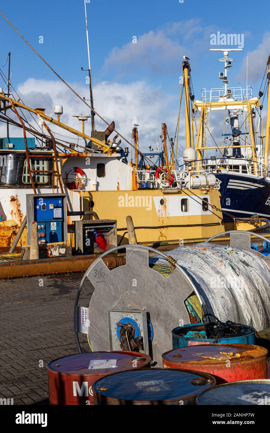 Brixham est un petit village de pêcheurs et une paroisse civile dans le quartier de Torquay dans le comté de Devon, dans le sud-ouest de l'Angleterre. La flotte de pêche, Banque D'Images