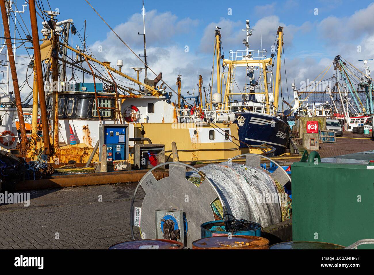 Brixham est un petit village de pêcheurs et une paroisse civile dans le quartier de Torquay dans le comté de Devon, dans le sud-ouest de l'Angleterre. La flotte de pêche, Banque D'Images