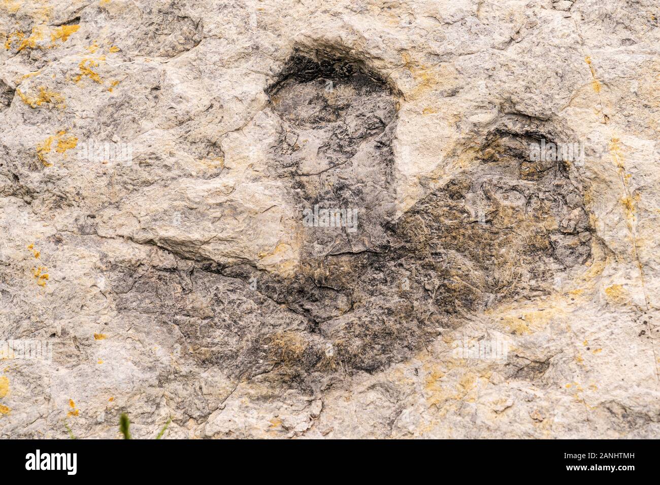 Empreintes de dinosaures à Dinosaur Ridge dans Morrison, Colorado. Banque D'Images
