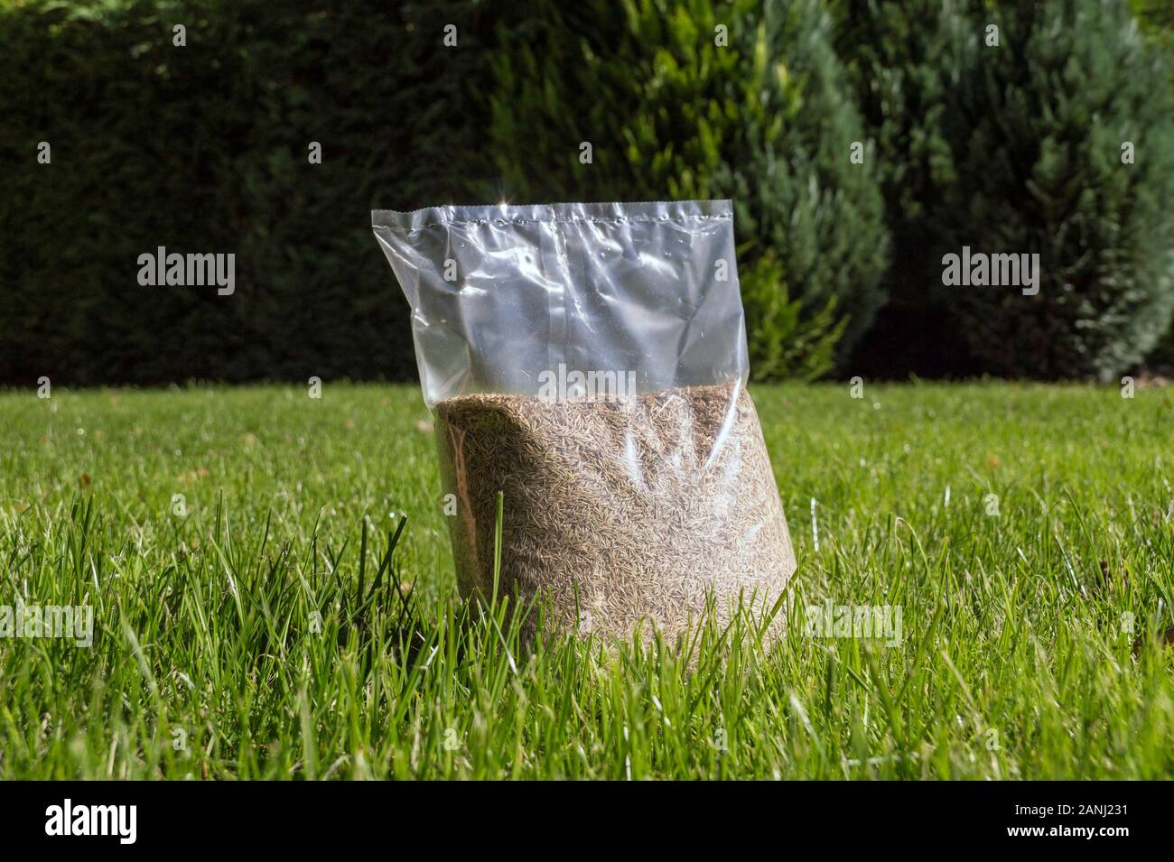 Semer de l'herbe, la mise en place d'une pelouse. L'emballage d'aluminium  avec des semences de graminées Photo Stock - Alamy