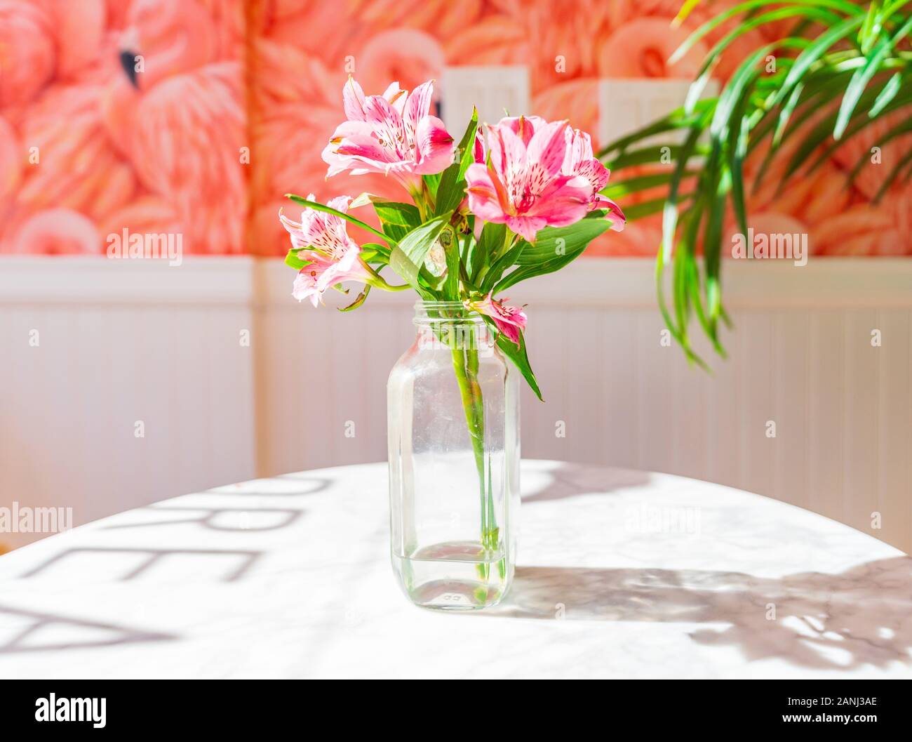 Disposition colorée des fleurs dans un vase en verre et un papier peint Flamingo. Banque D'Images