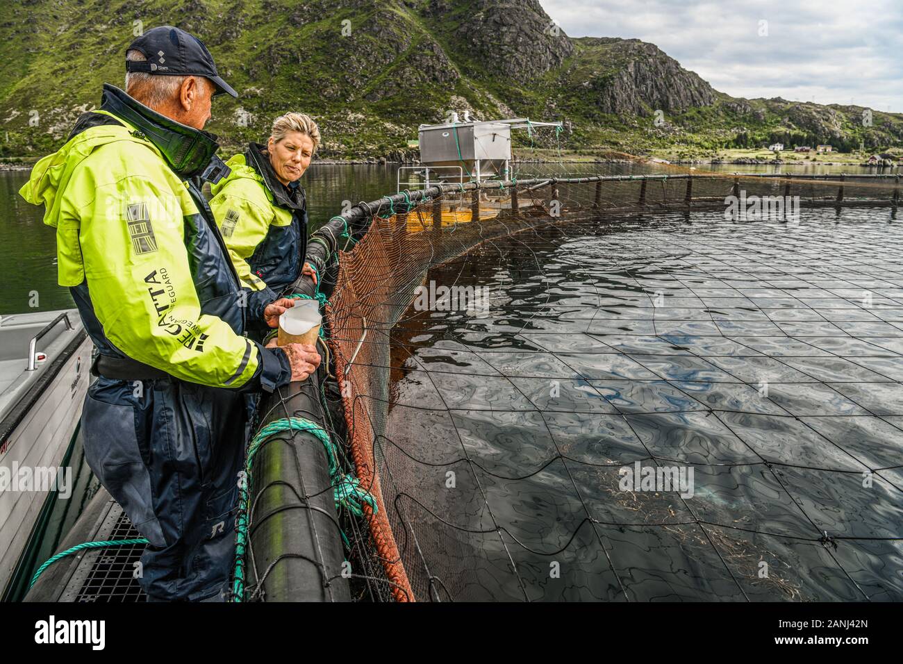 La Norvège. Norvegia. Iles Lofoten. Katharina Mosseng, entrepreneur des Lofoten Fruits de mer Centre à Mortsund. Salmon Farm Banque D'Images