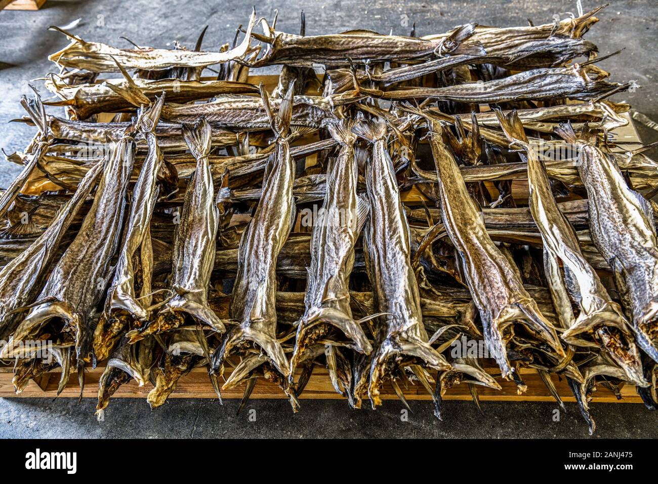 La Norvège. Norvegia. Iles Lofoten. Centre de la mer, Mortsund Lofoten. Stockfish House Banque D'Images