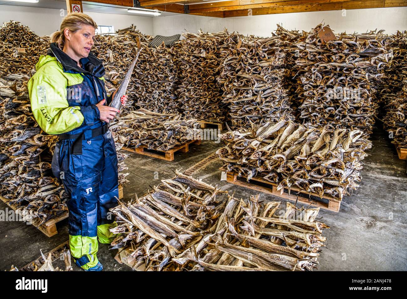 La Norvège. Norvegia. Iles Lofoten. Katharina Mosseng, entrepreneur des Lofoten Fruits de mer Centre à Mortsund. Stockfish House Banque D'Images