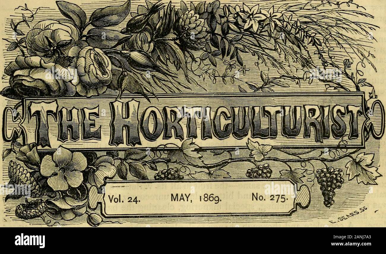 L'horticulteur et journal of rural Art et goût rural . Charles Arnold. Les crèches de Paris.âParis, Ontario, canada.Circulaire du prix de gros.âWilliam,S. Little Rochester, N. Y. Ellwanger et Barry, Rochester,N. Y. Â" Hoopes Fr. et Thomas, West Chester, Pa-Vicks catalogue illustré d'Ampoules.âRo-Chester, N. Y. Ancienne colonie forestières Catalogue^.âB. M.Watson, Plymouth, Massachusetts et calendrier annuel des semences.âMaupay, Hack-er & Co., Philadelphie, Pennsylvanie catalogue de graines de fleurs et de légumes.âJames Sheppard, New-York. JVisconsin Rapport de l'horticulture de l'État soi-société, 1868.âMadison les transactions, au Wisconsin Banque D'Images