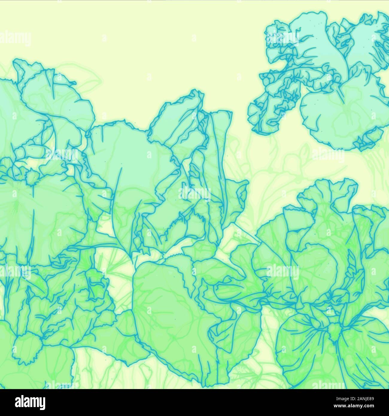 Illustration tonale verte, bleue et jaune des fleurs germanica de l'iris, également appelée iris barré. Fond jaune, contours bleus, remplissage de gradient vert. Banque D'Images