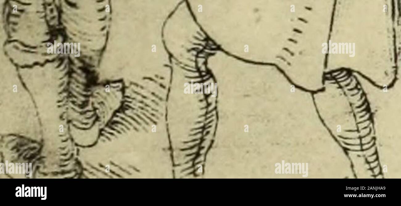 L'Albrecht Dürer à Bâle (1492-1494 . Et ria. V de la Loi sur la scène 1. (Die Autorschaft Dürers ist bei dieser Mischtechnik. zweifelhaft Chremcs benachrichtigt) Simo von der Kindesaussetzung hebt und die Verlobung senneur Tochter mit Pamphilus auf. Simo vertheidigt zweigniederlassungen und seinen Sohn , vorgiebt indem er sei, alles von Betrug Andria, die sich ein fremdes type geliehen habe, um zU verdächtigen Chremes Pamphilus bei. ,- ? =5vr- t*r. Ji ; un^^ Cte. Banque D'Images