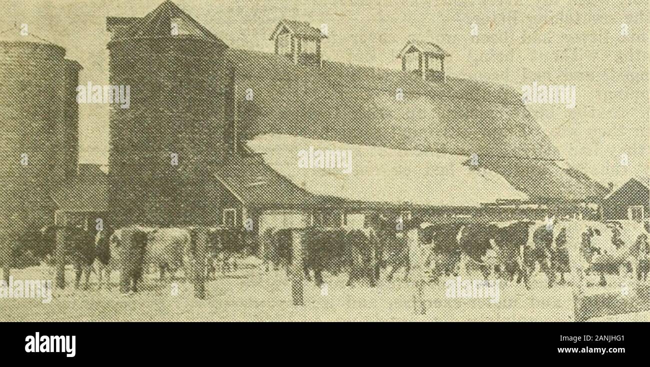 Virginia farmer . Ce grand nord. Pas de l'orge de anykind est soulevée ici. J'ai noticedsome dans l'orge et avoine rouge il seemedto tout droit lorsque semé au printemps.Merci de me conseiller sur l'ensemencement Bailey. Canit être semées avant l'avoine ? J'ai l'habitude de planifier l'avoine tosow dès que possible après le 15 février. Kay Co., N. Okla. L'orge, l'autre de l'hiver ou springvariety, n'est pas tout à fait fiable, Itseems* pour donner des résultats différents dans la même localité dans des conditions presque identiques. whichseem Ces differencesare impossible o ! Explication avec ourpresent informations. En règle générale, j'ai semé de l'orge Banque D'Images