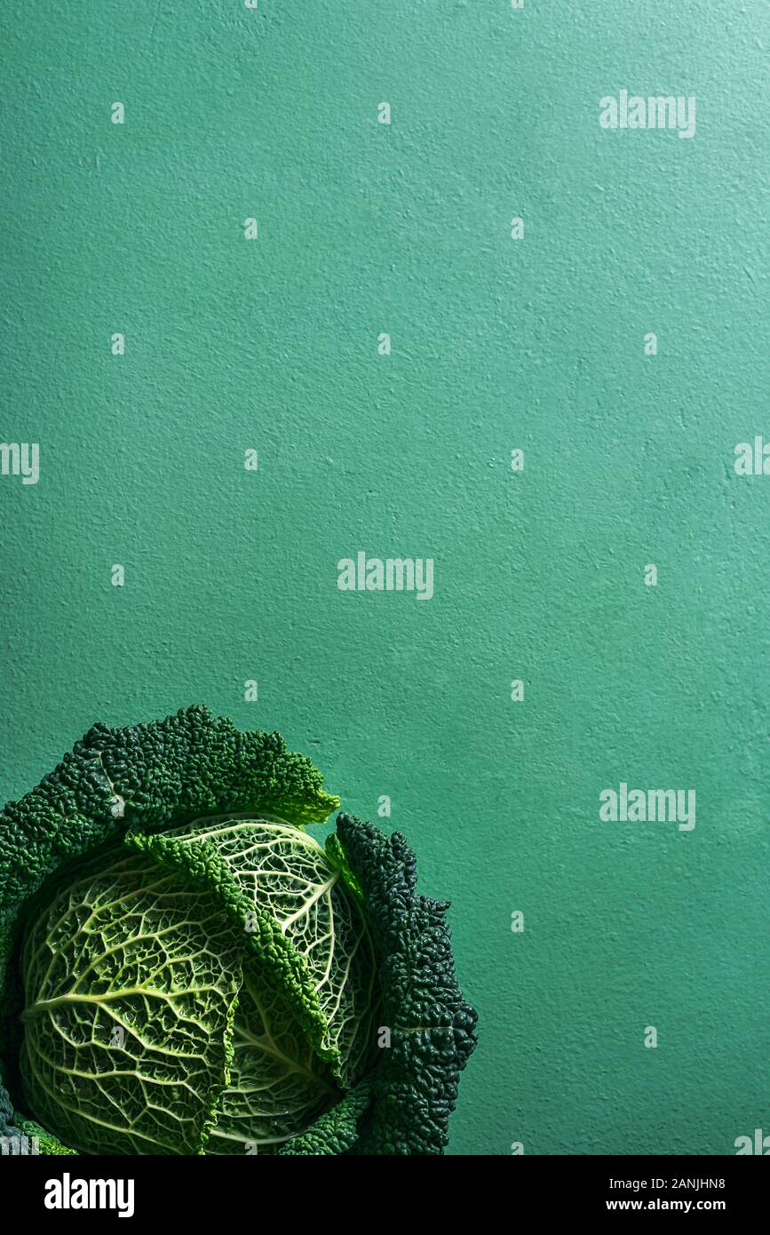 Tête de chou vert dans le coin d'une table de menthe aquatique. Chou fraîchement récoltés. Alimentation végétalienne. La Désintoxication de la nourriture. Les aliments crus. Les légumes frais. Banque D'Images