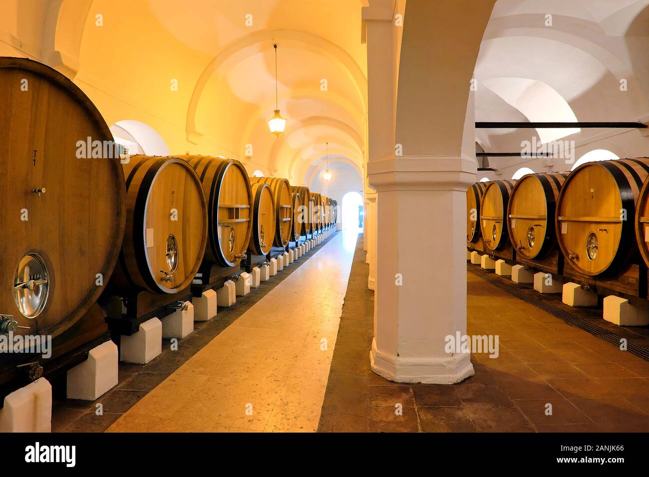 Cartuxa Winery Wine Cellar, Quinta de Valbom, Fundação Eugénio De Almeida, Evora, Alentejo, Portugal, Europe Banque D'Images