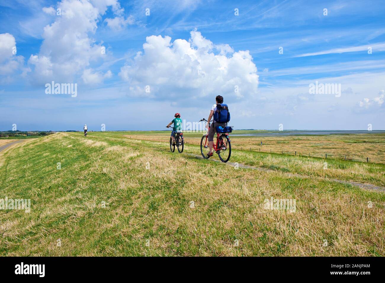 Vue arrière d'un cycliste masculin et féminin sur le Seedeich à l'île de Borkum Banque D'Images