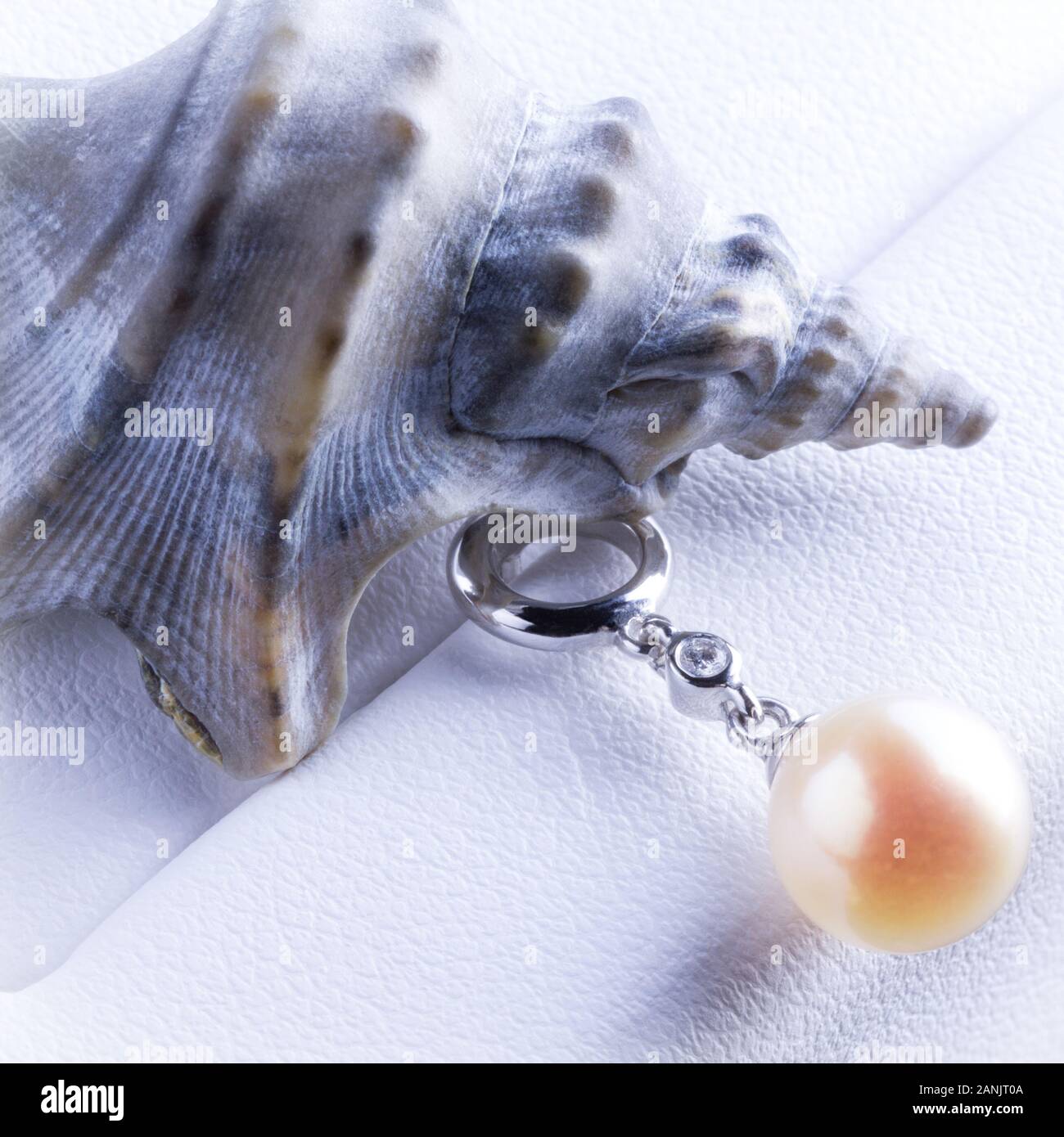 Shell et Pearl Earrings - close up Banque D'Images