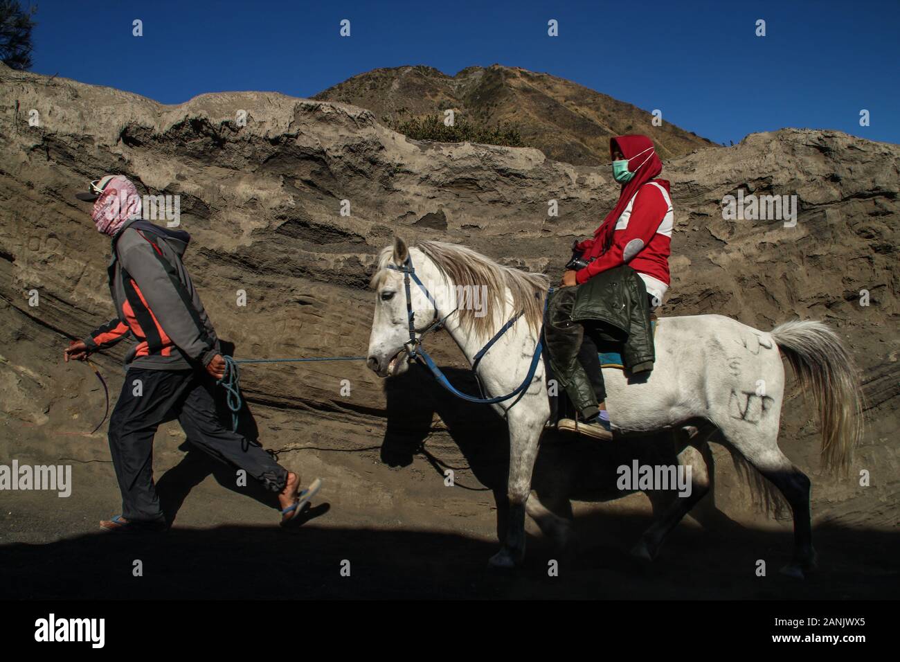 Les visiteurs d'un monte un cheval au sommet du Mont Bromo, Java oriental.Bromo est la plus célèbre montagne à l'Est de Java avec le plus achalandé visites chaque année. Le Mont Bromo a une altitude de 2 392 mètres au-dessus du niveau de la mer et est situé dans quatre régions, à savoir, Probolinggo Pasuruan, Lumajang et Malang Regency. Banque D'Images