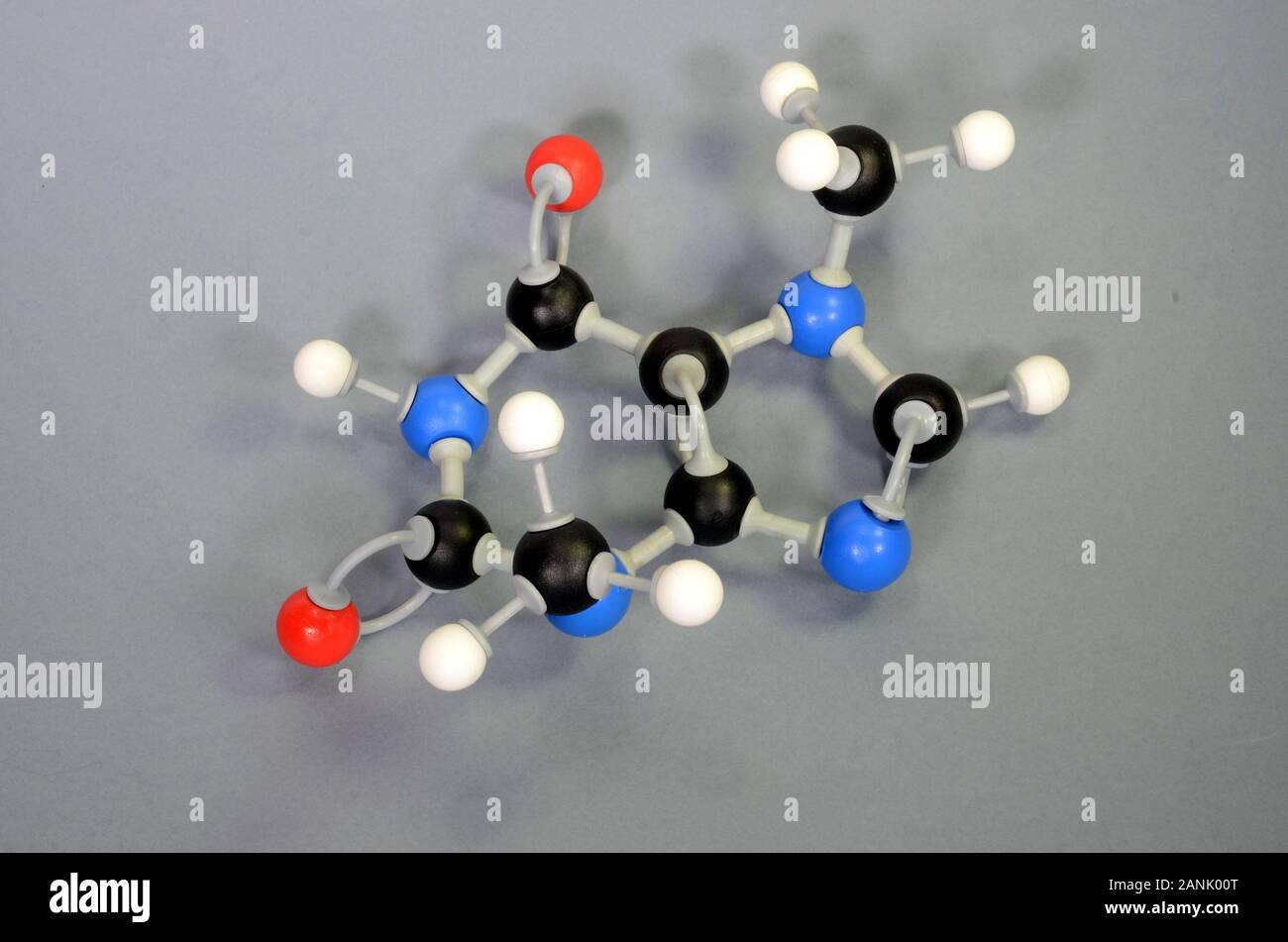 Molécule modèle de théobromine, un élément majeur dans le chocolat. L'hydrogène est blanc, noir de carbone est, le rouge est l'oxygène et l'azote est bleu. Banque D'Images