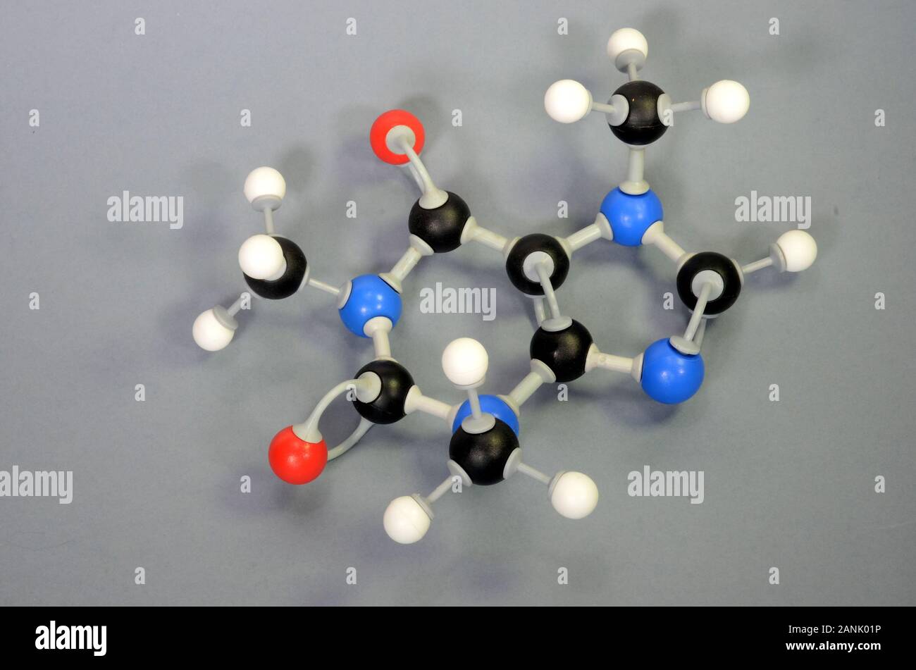 Molécule modèle de caféine (Coffein). L'hydrogène est blanc, noir de carbone est, le rouge est l'oxygène et l'azote est bleu. Banque D'Images