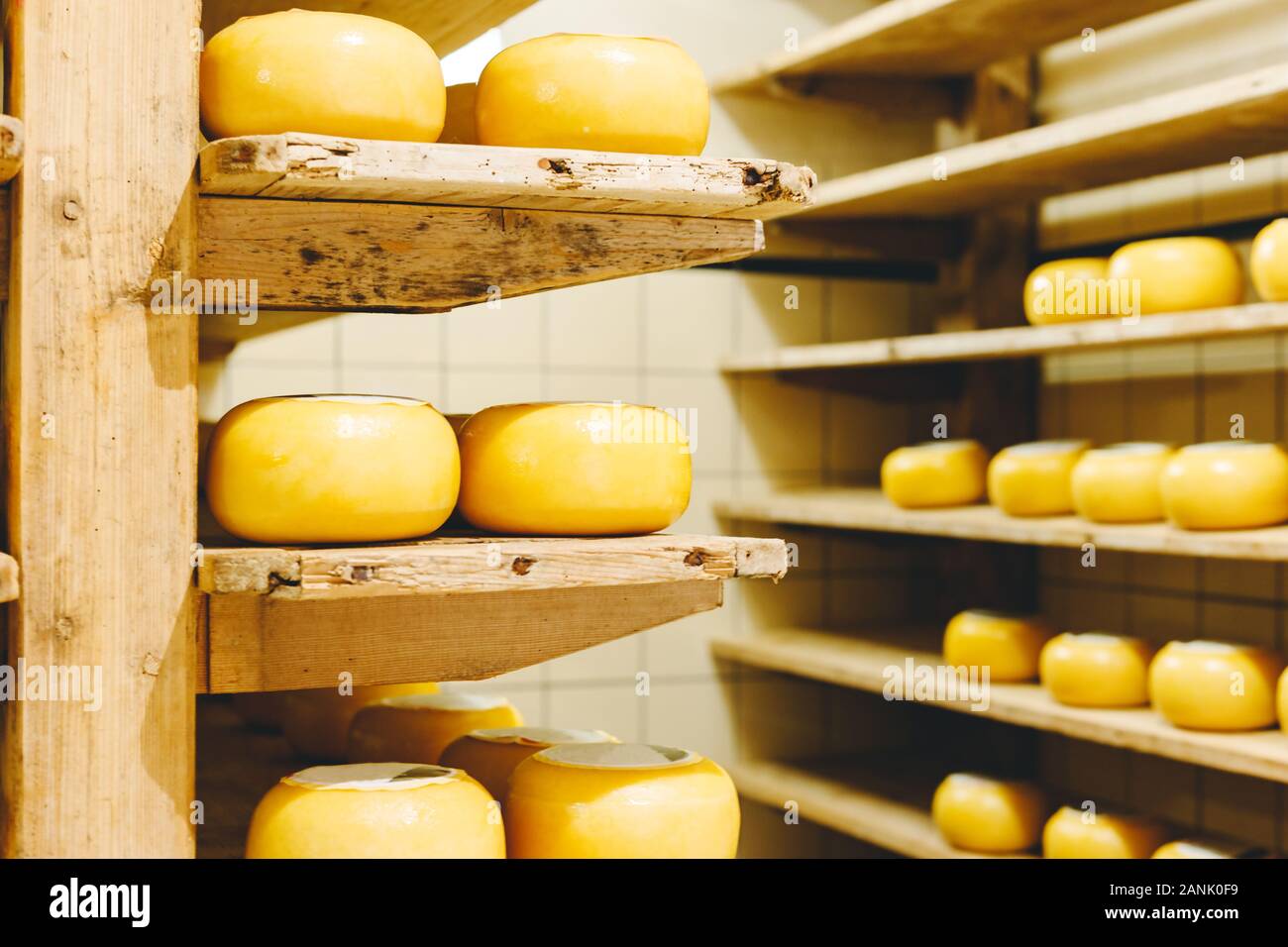 De nombreux chefs de fromage hollandais jaune dans la cire mûrissent sur étagères en bois dans une fromagerie. Pour l'entreprise de fabrication de fromage. Stock photo Banque D'Images